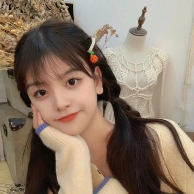 希德尼娅的骑士