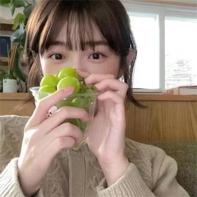 侣行第三季